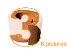 gallery 3